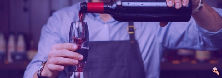 TOSSPER Vino Rosso aeratore Spirito del liquore versatore Decanter Wine Hopper Filtro Bicchieri Strumenti Bar 
