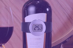 termometro per vino